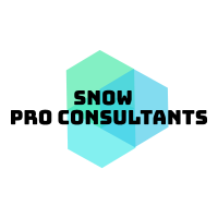 SNow Pro Consultants logo